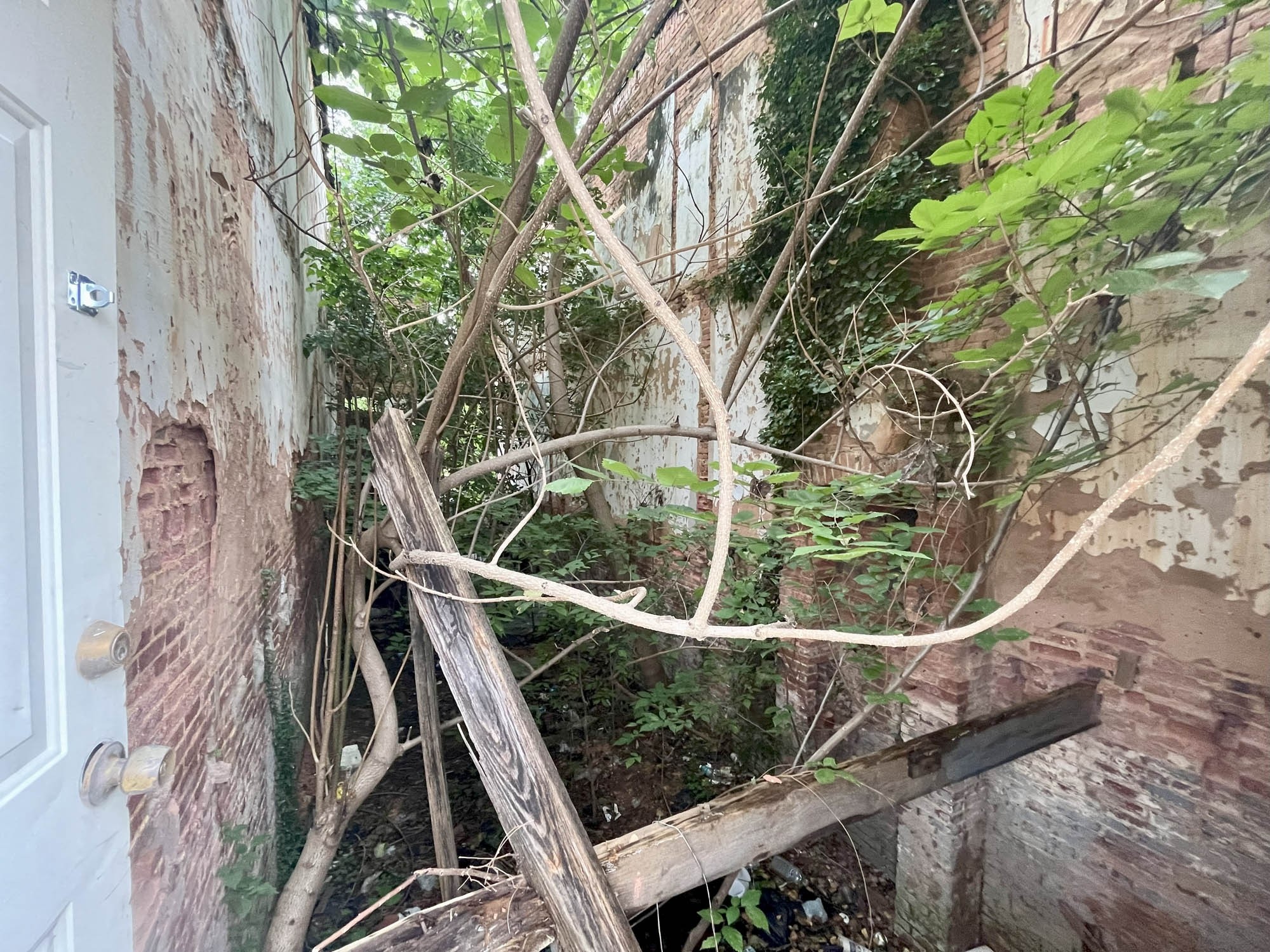 1107 N. Milton Avenue