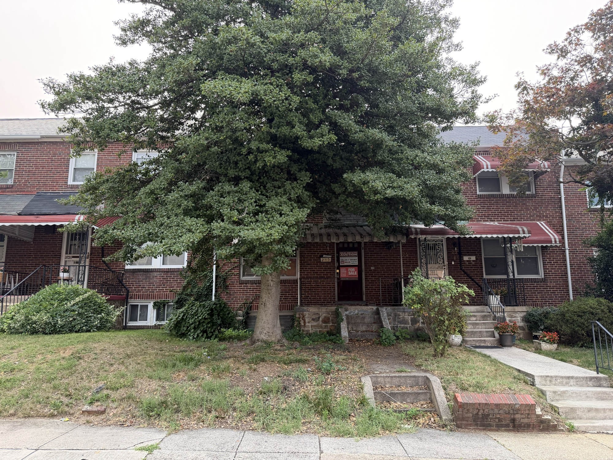 25 N. Ellamont Street
